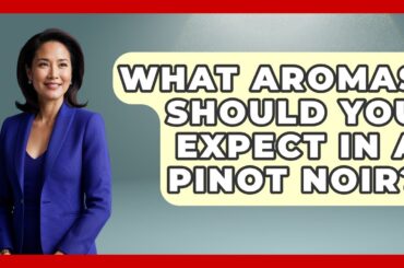 What Aromas Should You Expect In A Pinot Noir? - France Fact File