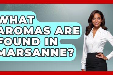 What Aromas Are Found In Marsanne? - France Fact File