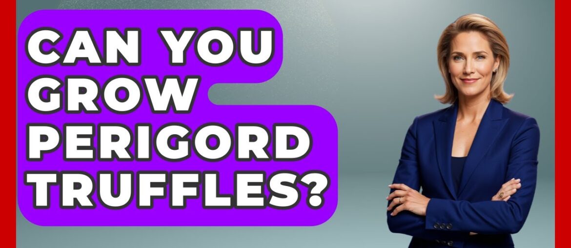 Can You Grow Perigord Truffles? - France Fact File