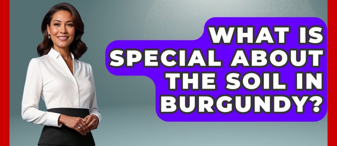 What Is Special About The Soil In Burgundy? – France Fact File What Is Special About The Soil In Burgundy? - France Fact File