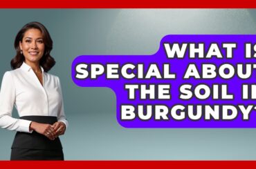 What Is Special About The Soil In Burgundy? - France Fact File