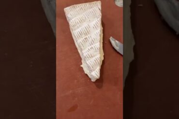 Nutty French Brie. #cheese #brie #french