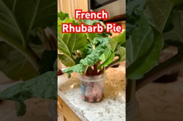 French Rhubarb Pie made with my spring bounty of home grown rhubarb #recipe #creator #rhubarb
