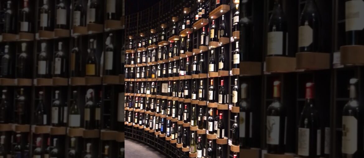 Largest wine museum #youtubeshorts #france #bordeaux #wine #travel #viral #trending #reels #reels