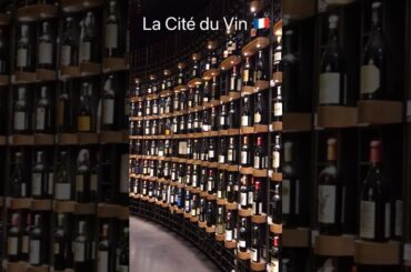 Largest wine museum #youtubeshorts #france #bordeaux #wine #travel #viral #trending #reels #reels