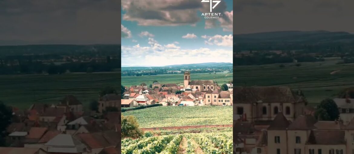 Shop the finest French wine and caviar now on our website!