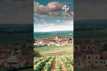 Shop the finest French wine and caviar now on our website!