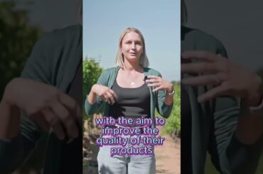 French Wine Voyage Part 2. History 2. #shorts #wine  #vino #wineacademy #sommelier