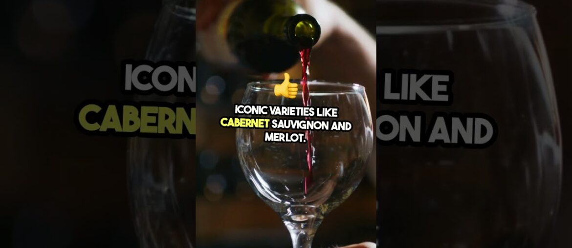 Did you know this about Bordeaux wine?