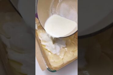 What should I call this? #shorts #giantfrenchfry