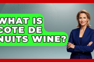 What Is Cote De Nuits Wine? - France Fact File