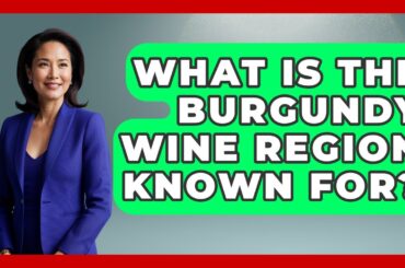 What Is The Burgundy Wine Region Known For? - France Fact File