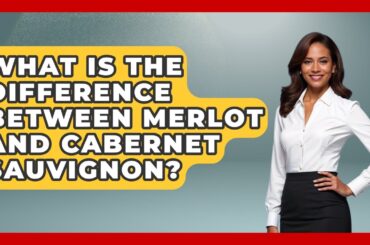 What Is The Difference Between Merlot And Cabernet Sauvignon? - France Fact File
