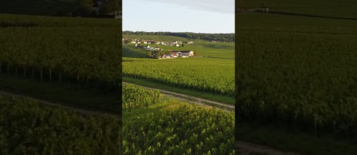 We Visited The Most Beautiful Champagne Region In France