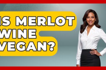 Is Merlot Wine Vegan? - France Fact File