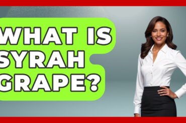 What Is Syrah Grape? - France Fact File