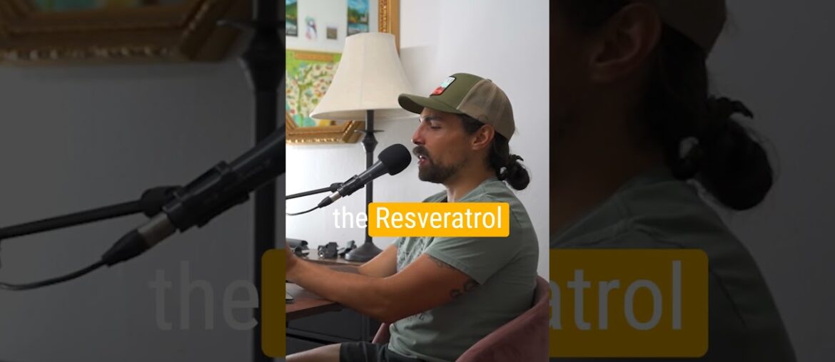 The French Paradox #podcastclips #podcast