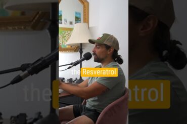 The French Paradox #podcastclips #podcast