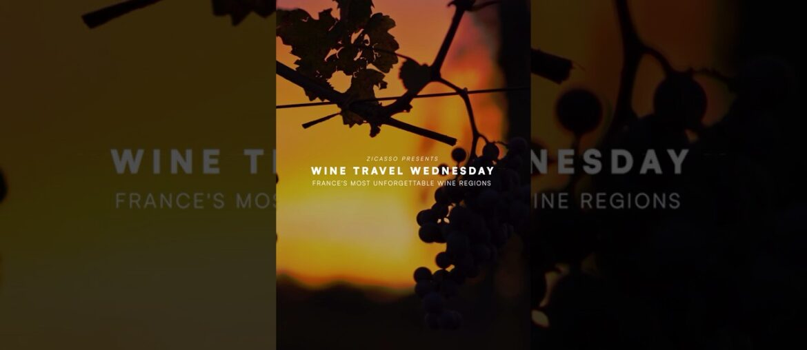 Wine Travel Wednesday: France's Vineyard Journey