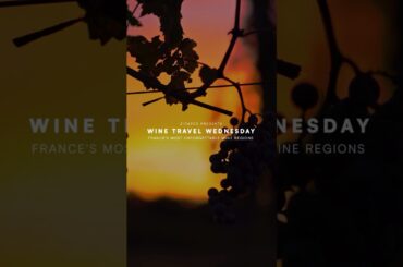 Wine Travel Wednesday: France's Vineyard Journey