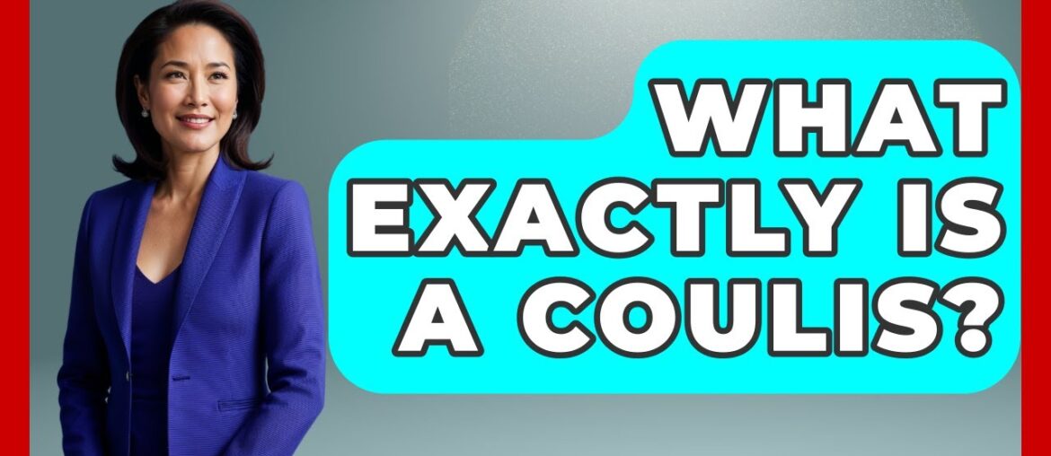 What Exactly Is A Coulis? – France Fact File What Exactly Is A Coulis? - France Fact File