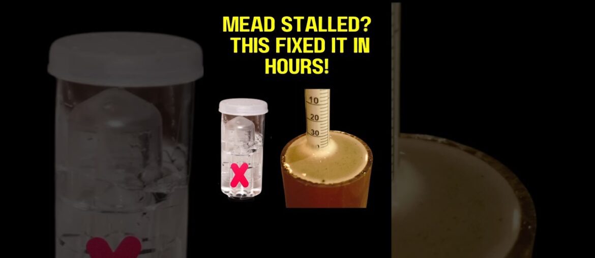 Why Did My Mead Stop Bubbling? See This Simple Fix!