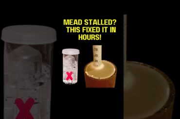 Why Did My Mead Stop Bubbling? See This Simple Fix!