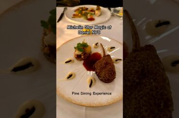 Michelin Star Restaurant | Daniel NYC | Fine Dining Experience | New York Food Recommendations #food