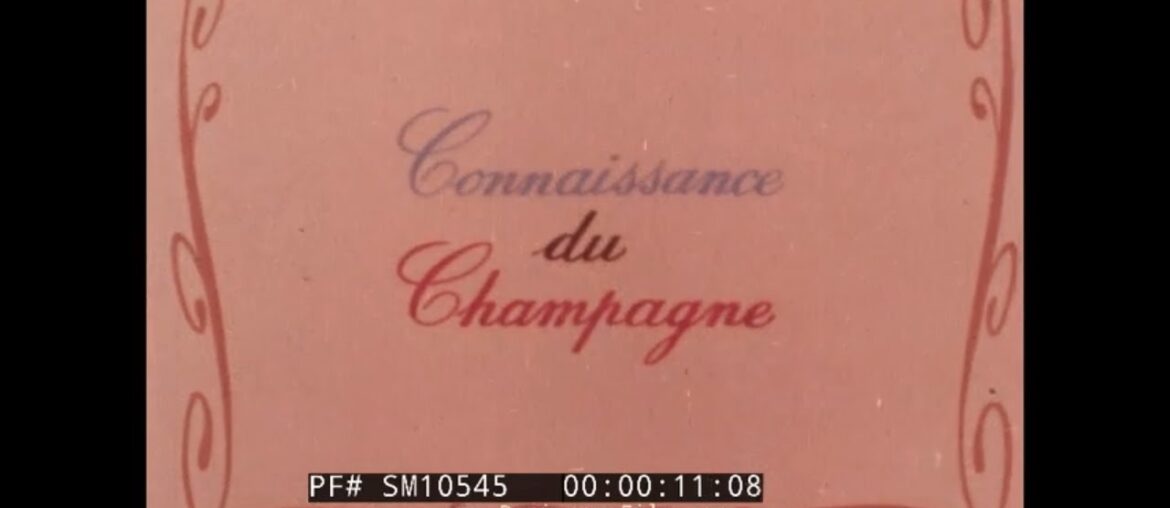 " UNDERSTANDING CHAMPAGNE " 1970s GRAPE PRODUCTION & FERMENTATION OF CHAMPAGNE WINE PROMO  SM10545