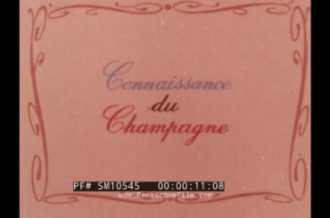 " UNDERSTANDING CHAMPAGNE " 1970s GRAPE PRODUCTION & FERMENTATION OF CHAMPAGNE WINE PROMO  SM10545