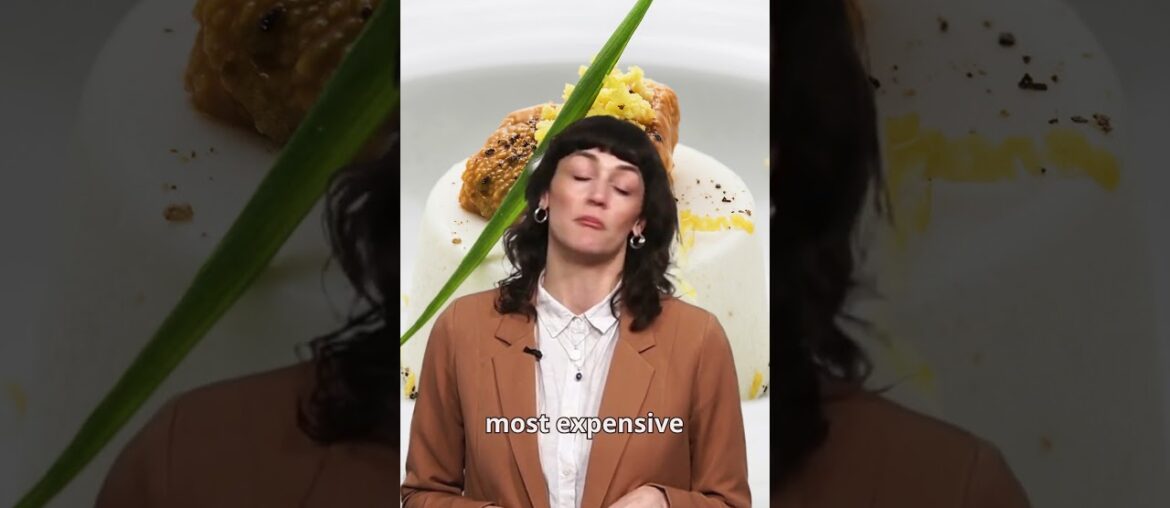 Which country has the most Michelin-starred restaurants? #foodie #gourmet #michelinstar #fastfacts