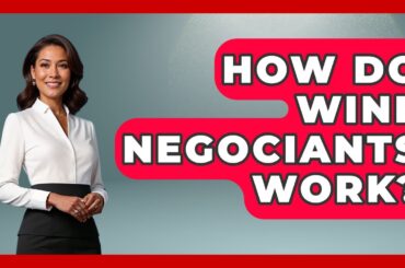 How Do Wine Negociants Work? - France Fact File