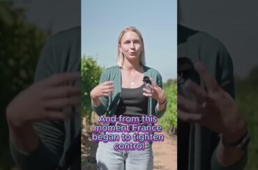 French Wine Voyage Part 4. #shorts #wine  #vino #wineacademy #sommelier