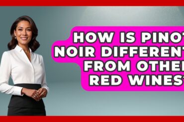 How Is Pinot Noir Different From Other Red Wines? - France Fact File