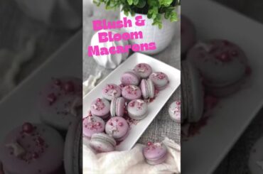 Blush & Bloom Macarons: Elegant French Macarons Recipe, Pastel Dessert Trend, and Party Inspiration