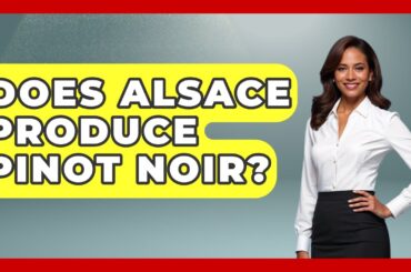 Does Alsace Produce Pinot Noir? - France Fact File