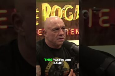 Taste Bud Showdown: France vs. USA - Which Wins?