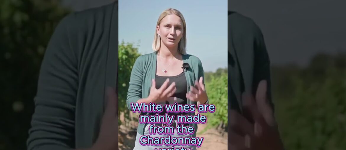 French Wine Voyage. Region Burgundy #shorts #wine #vino #wineacademy #sommelier French Wine Voyage. Region Burgundy #shorts #wine #vino #wineacademy #sommelier