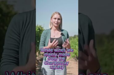 French Wine Voyage. Region Burgundy #shorts #wine  #vino #wineacademy #sommelier