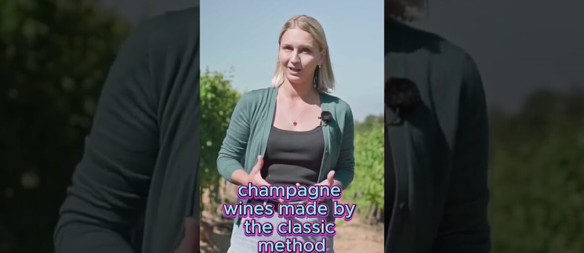 French Wine Voyage Part 5. Region Champagne. #shorts #wine #vino #wineacademy #sommelier French Wine Voyage Part 5. Region Champagne. #shorts #wine #vino #wineacademy #sommelier