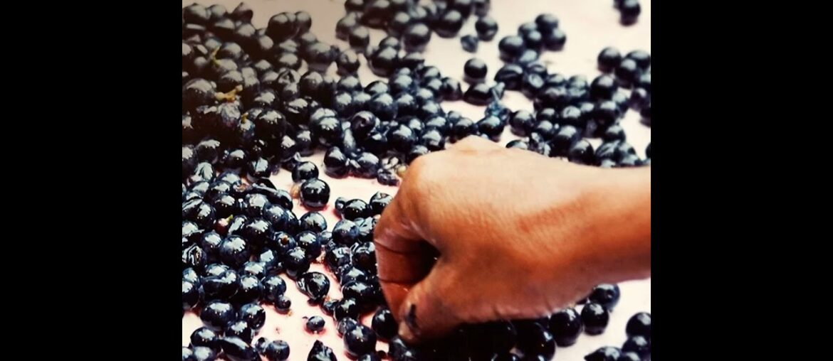 WSET – Level 3 Chapter 12 : Introduction to France WSET - Level 3 Chapter 12 : Introduction to France