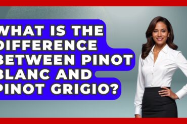 What Is The Difference Between Pinot Blanc And Pinot Grigio? - France Fact File