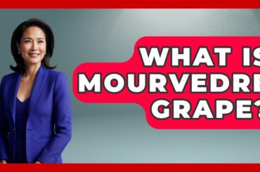 What Is Mourvedre Grape? - France Fact File