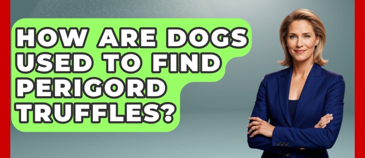 How Are Dogs Used To Find Perigord Truffles? - France Fact File