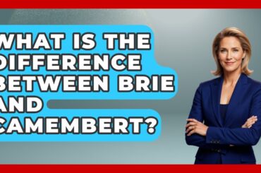 What Is The Difference Between Brie And Camembert? - France Fact File