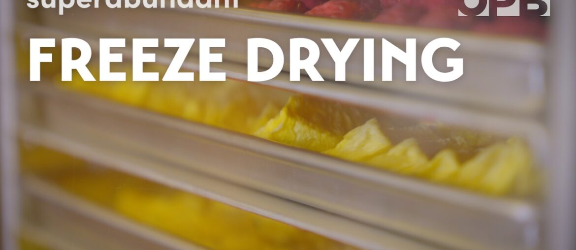 Your freeze-dried meals likely came from Oregon | Superabundant