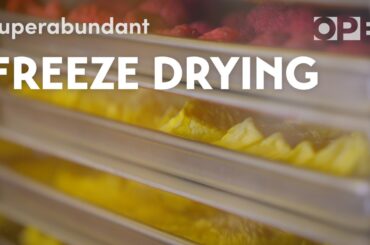 Your freeze-dried meals likely came from Oregon | Superabundant
