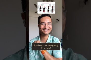 Famous French wine region !!! #winevideo #frenchwine #bartenderknowledge