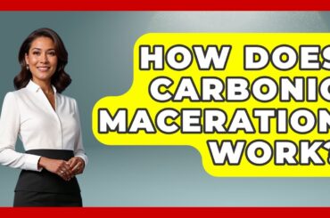 How Does Carbonic Maceration Work? - France Fact File