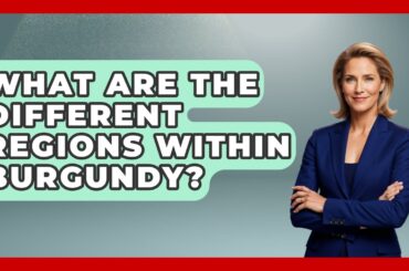 What Are The Different Regions Within Burgundy? - France Fact File